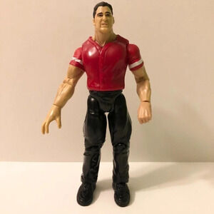 1999 WWE Titan  Tron Shane McMahon Jakks Pacific Wrestling Action Figure